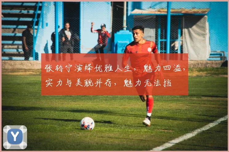 张钧宁演绎优雅人生，魅力四溢，实力与美貌并存，魅力无法挡