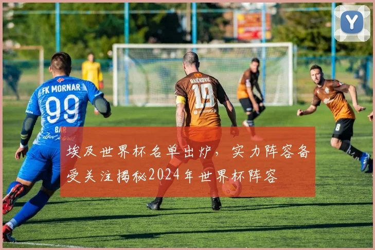 埃及世界杯名单出炉，实力阵容备受关注揭秘2024年世界杯阵容