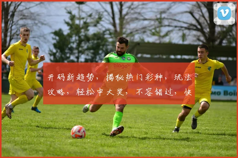 开码新趋势，揭秘热门彩种，玩法攻略，轻松中大奖，不容错过，快来体验