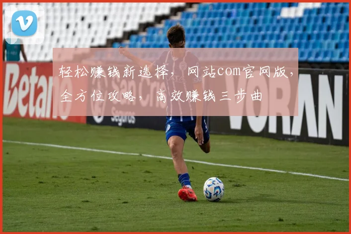 轻松赚钱新选择，网站com官网版，全方位攻略，高效赚钱三步曲