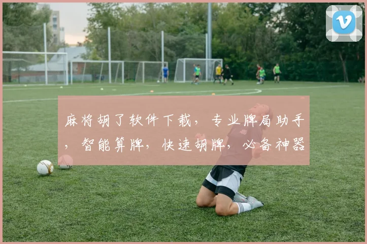 麻将胡了软件下载，专业牌局助手，智能算牌，快速胡牌，必备神器，一网打尽
