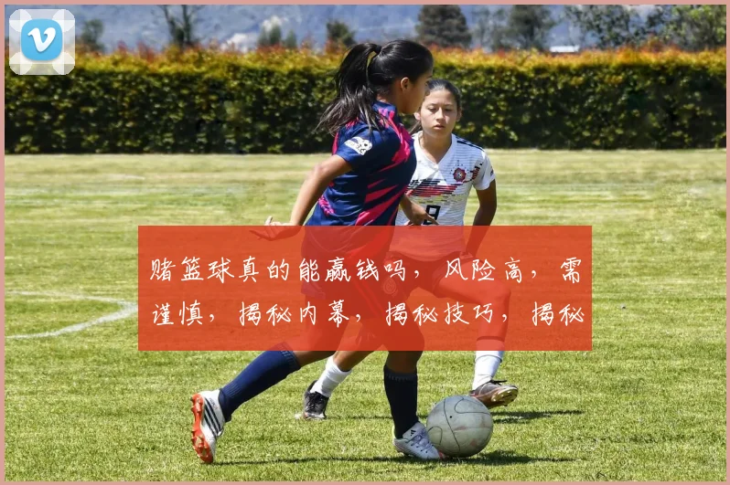 赌篮球真的能赢钱吗，风险高，需谨慎，揭秘内幕，揭秘技巧，揭秘技巧。